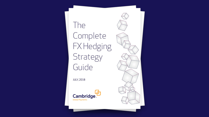 White Paper: The Complete FX Hedging Strategy Guide